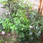 Relais Ai Campi Lägenhet