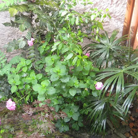Relais Ai Campi Appartement